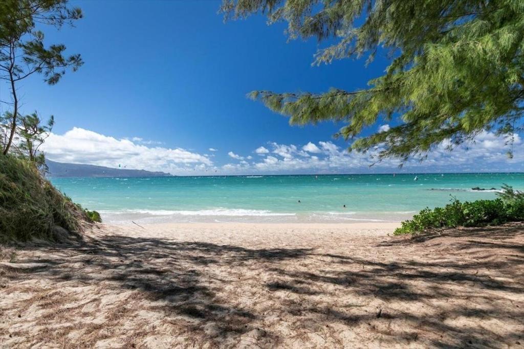 Unit 19 Maui Ohana Modern Studio Wailuku Εξωτερικό φωτογραφία