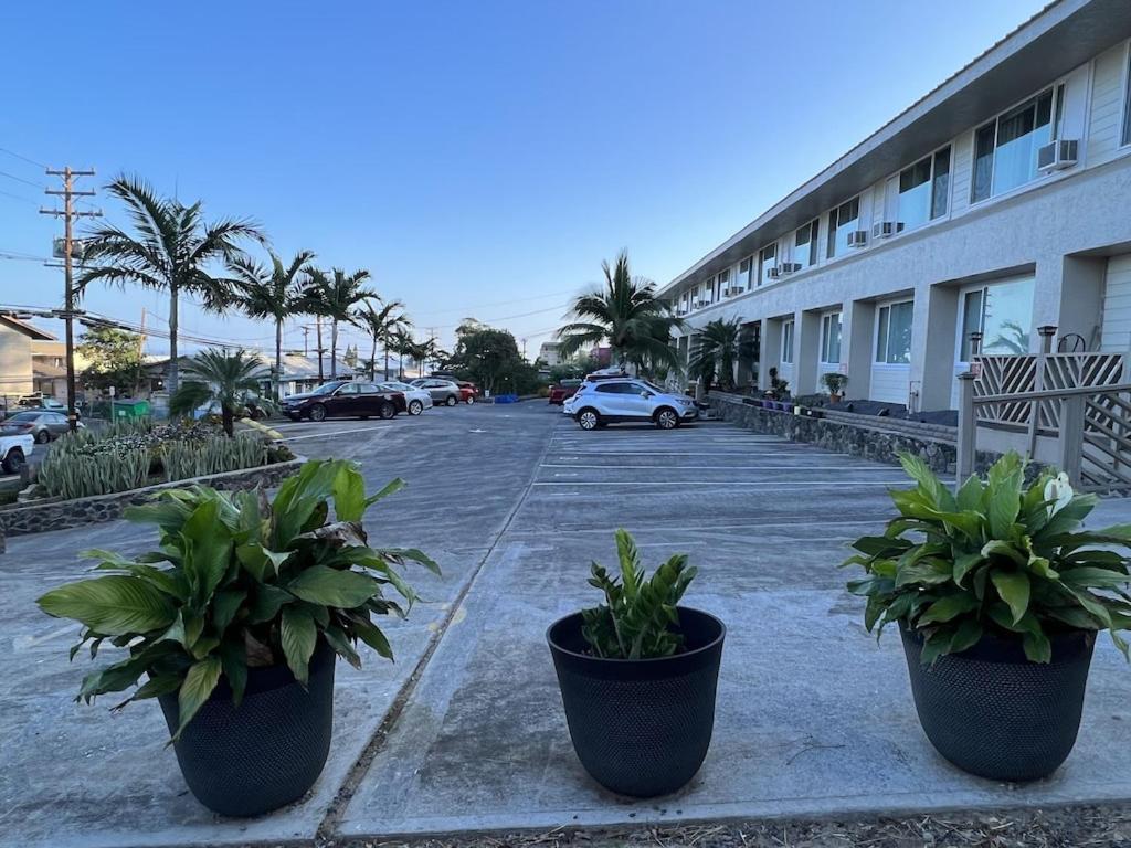 Unit 19 Maui Ohana Modern Studio Wailuku Εξωτερικό φωτογραφία
