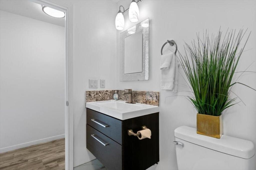 Unit 19 Maui Ohana Modern Studio Wailuku Εξωτερικό φωτογραφία