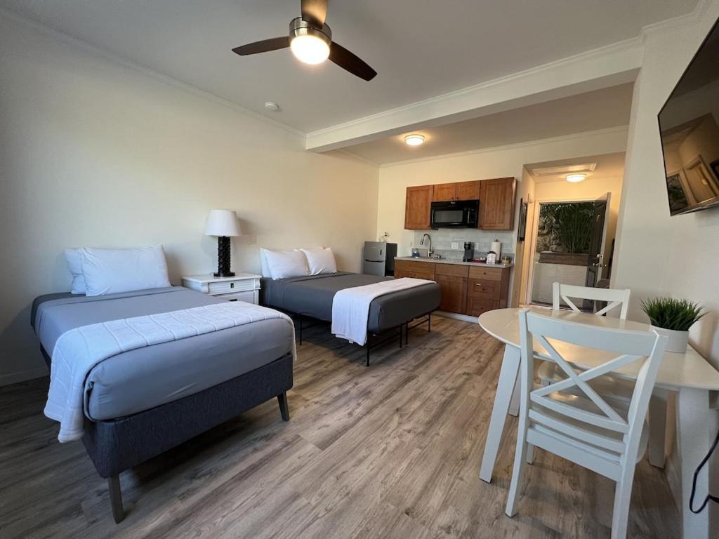 Unit 19 Maui Ohana Modern Studio Wailuku Εξωτερικό φωτογραφία